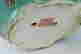 item-129818054=5