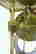 item-131523523=12