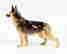 item-131523560=4
