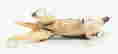item-131523560=6