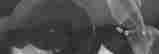 item-131523564=4