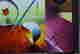 item-131523615=3