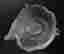 item-131523637=2
