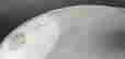 item-135855224=7
