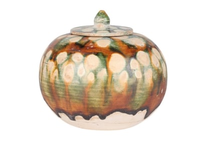 Chinese Tang Dynasty Sancai Glazed Water Pot