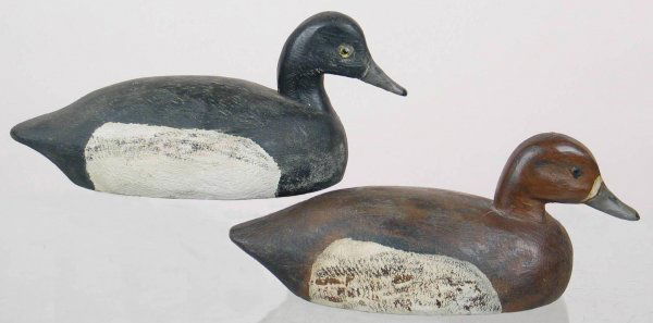 Mini Blue Bill Pair by Schmidt.: Pair of mini bluebills in XOC Provenance: William Moore collection