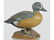 778: Blue-winged Teal Drake by Ahearn
