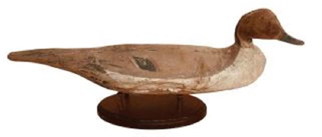 Pintail Drake by Tyler (1 of 1)