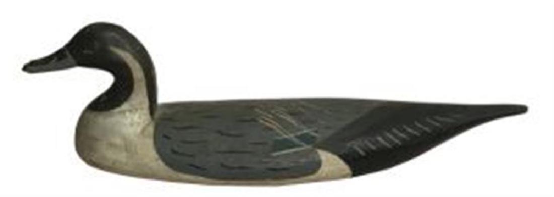 Pintail by Doug Jester (1 of 1)