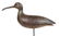 Mark McNair Cobb Island Curlew