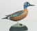 283: Blue Wing Teal Drake, Lapham