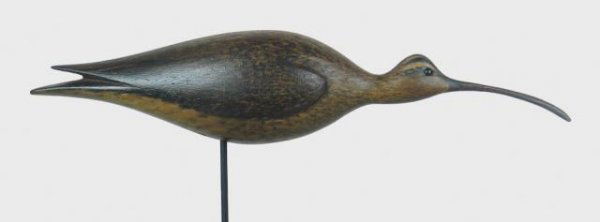 Dave Ward Long Billed Curlew: 93A. Running long billed curlew by David Ward of Essex, Connecticut. A striking example by this very talented carver. Carved shoulders and wing tips with split tail. Excellent original paint and condi