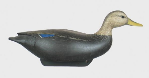 Marty Collins Black Duck: 115B. Hollow swimming black duck decoy by Marty Collins. Carved wing tips with chip carving under tail in the manner of the earliest Crowell's. Excellent original paint with practically no visible wea