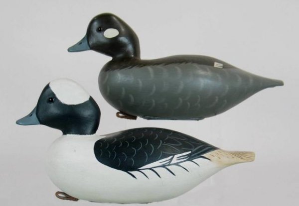 Pair of Buffys by Clarence Fennimore: 354. Fine pair of hollow carved buffleheads by New Jersey's Clarence Fennimore. Excellent and original in all respects. Mr. Fennimore comes from a long line of decoy makers and carves in the tradition