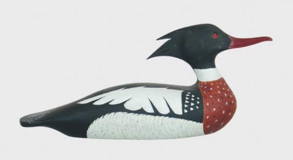 Red Breasted Merganser Drake by Gerald Smith: 568F. Hollow carved red breasted merganser drake by Capt. Gerald Smith, Marblehead, MA. Head turned slightly back and to the right. Wing markings carved in outline. Nicely carved bill and crest. Excel
