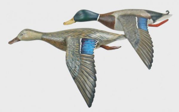 Pair of Half Model Mallard Flyers by Borrett: 621A. Pair of life sized flying half model mallard decoys by Mike Borrett, Oregon, WI. In XOC. 600-900