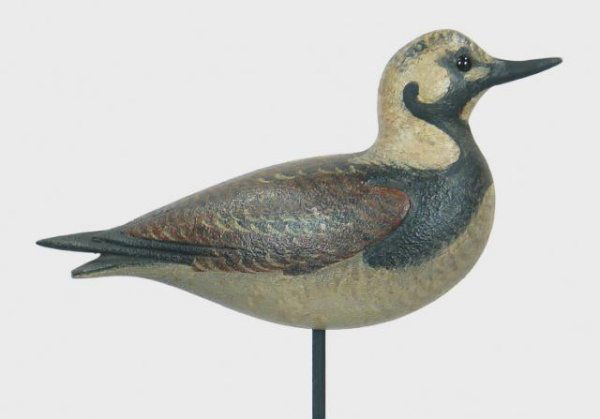 David Ward Turnstone: 692. Split tail ruddy turnstone by Dave Ward. Head turned slightly to left with carved raised wings and primaries. Excellent original paint and condition. Stamped "DBW" under tail. 800-1000