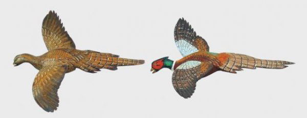 Pheasant pair, Flying: 752A. Pair of half life size flying wall mounts of pheasants. Original paint with minor rubs to wing tips. Minor separation where left wing joins body on hen. Illegible signature on male. 300-500