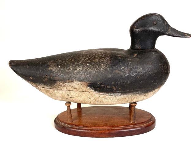 Bluebill Drake with the "Geddes" Brand (1 of 4)