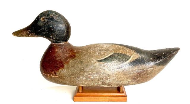 Hays Factory Mallard Drake (1 of 3)