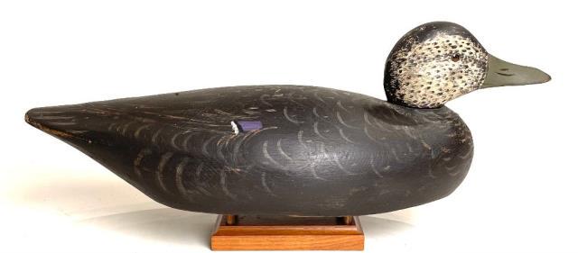 Black Duck By Crowell (1 of 4)