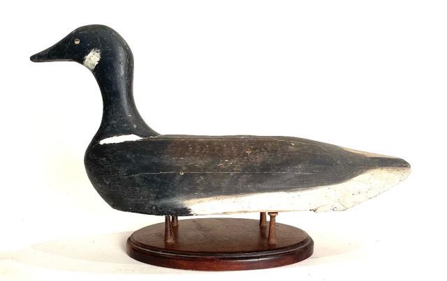 Brant by Joe Davis Cape Cod (1 of 4)