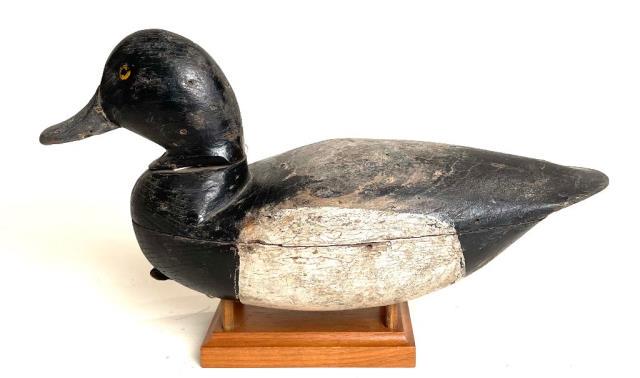 Bluebill Drake from NJ (1 of 4)