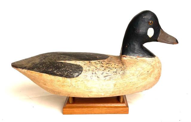 Goldeneye Drake from MD by Smith: Maryland Goldeneye Drake Capt. John Smith, Ocean City, MD A 13 inch decoy with painted tack eyes and carved bill detail. In old working repaint with patina. Provenance: Dr. Ralph Angus Collection.