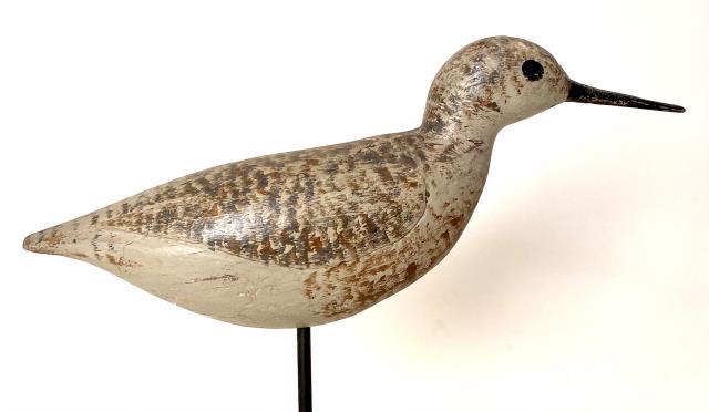 Yellowlegs Shorebird (1 of 2)