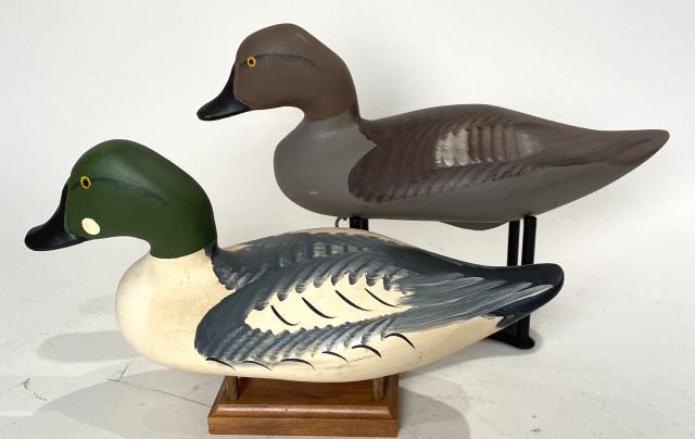 Goldeneye Pair by Capt Harry Jobes (1 of 4)