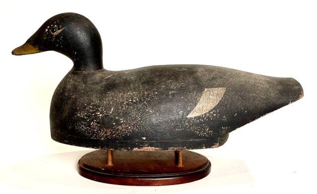 Self Bailer White Wing Scoter by Joseph Lincoln (1 of 4)