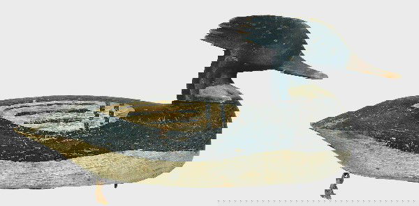 Very stylish red breasted merganser drake from Virg: Very stylish red breasted merganser drake from Virginia. Has features of both Ira Hudson and Charles Clark but the actual carver remains unknown. Good original paint with the original pattern plainly