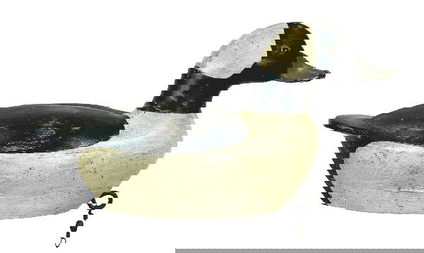 Delightful and desirable early bufflehead drake by: Delightful and desirable early bufflehead drake by David Ward of Essex, Ct. Hollow carved with a paddle tail and head thrust forward in a swimming pose. Original paint has been wonderfully antiqued by