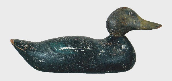Hays Factory Standard Grade black duck. Original p: Hays Factory Standard Grade black duck. Original paint shows moderate to heavy wear. Check on upper left side extends from breast to tail. Small area of paint loss on tip of tail. 100-200