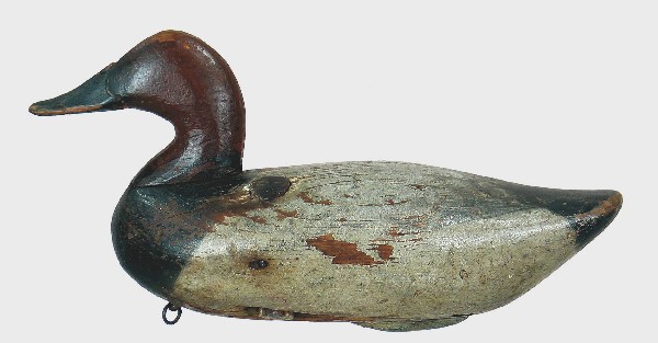 Early canvasback drake by James Currier of Havre d: Early canvasback drake by James Currier of Havre de Grace, Md. Original paint with moderate to heavy overall wear. Typical rubs to old wood. Some rough spots to both sides of body, especially right si