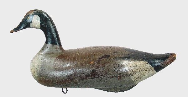 Oversize Canada goose c1950's by R. Madison Mitche: Oversize Canada goose c1950's by R. Madison Mitchell of Havre de Grace, Md. Original paint with light gunning wear. Rubs to the tail edge, bill and top of head. Interesting patch by Mitchell on right 
