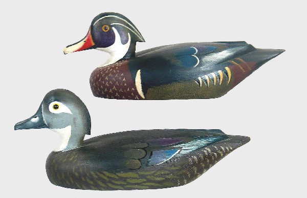 Immaculate pair of wood ducks by David W. Nichol o: Immaculate pair of wood ducks by David W. Nichol of Smith Falls, Ontario. Classic carved wings and tail feather outlines. Fine original paint with no visible wear. Excellent original condition except 