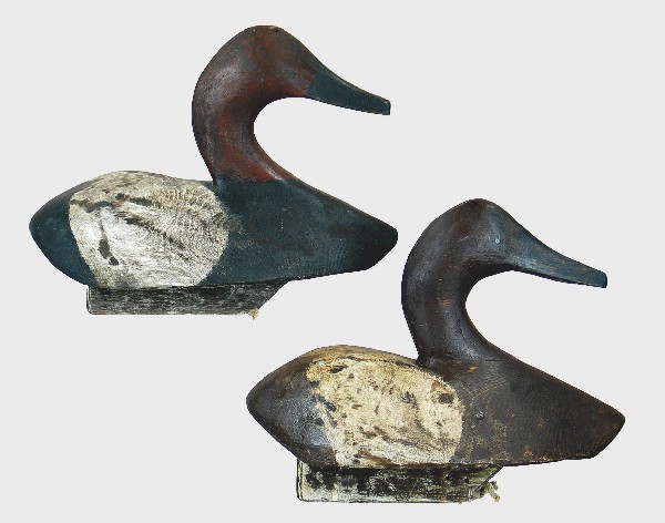Rigmate pair of canvasbacks. Collector tag indica: Rigmate pair of canvasbacks. Collector tag indicates that the carver is 20th century carver Joel Ducharme of St. Ambrose, Manitoba, a descendant of Duncan Ducharme. Original paint is thin on bodies to