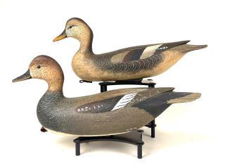 Pair of Gadwall by Bob White (1 of 5)