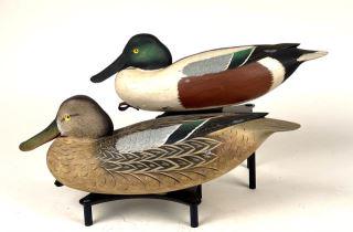 Shoveler Pair by Bob White (1 of 5)