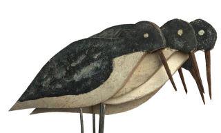 Set of Six Flat Yellowlegs Shorebirds (1 of 1)