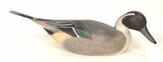 Pintail Drake by Lloyd Johnson: An 18 1/2 inch decoy attributed to Lloyd Johnson (1910-1965), Bay Head, NJ, with an unreadable signature in a swimming posture with glass eyes, and a slightly turned head.Original paint with some craq