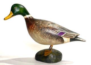 Miniature Mallard Drake by Birch (1 of 3)