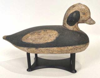 Old Squaw: A 12 inch decoy with tack eyes. Very petite and folky oldsquaw circa 1890-1910 from Maine. in old paint over original exhibits some flaking and gunning wear.