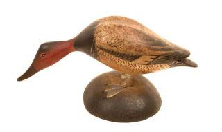 Miniature Feeding Canvasback Drake - A. E. Crowell (1 of 3)