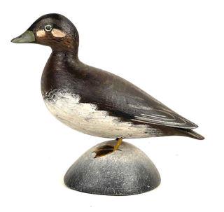 Miniature White-Winged Scoter Hen By Crowell (1 of 4)