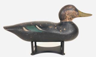 Tack-Eye Black Duck by Mason Decoy Factory (1 of 4)