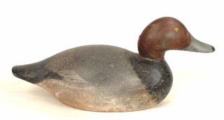 Premier Grade Redhead Drake by Mason,"TWV" Rig (1 of 4)