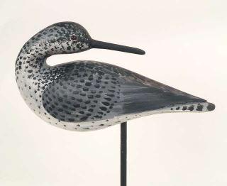 Yellowlegs by Alvin White (1 of 4)