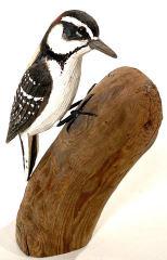 Miniature Downy Woodpecker by Stan Sparre (1 of 3)
